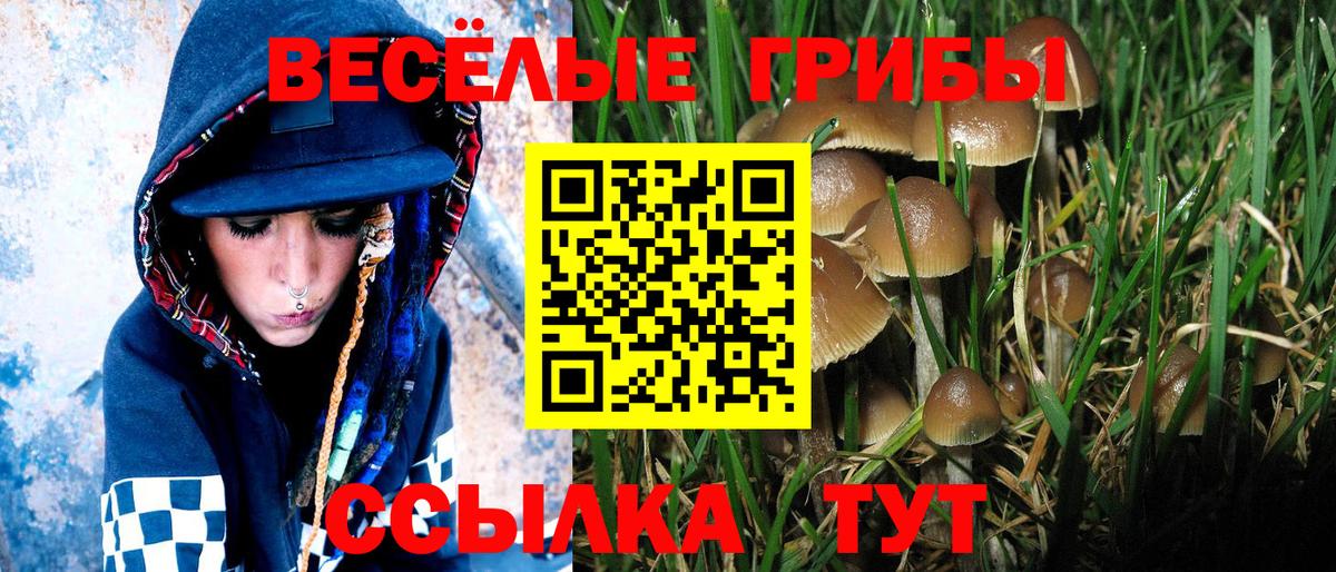 Галлюциногенные грибы MAGIC MUSHROOMS Еманжелинск